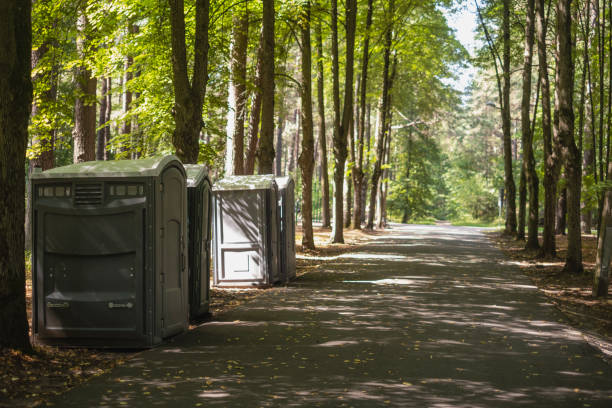 Best Best portable toilet rental  in Golden Meadow, LA